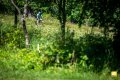 DSC_8634.jpg
