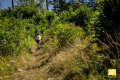 DSC_5077.jpg