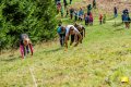 DSC_0496.jpg