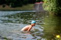 DSC_3825.jpg